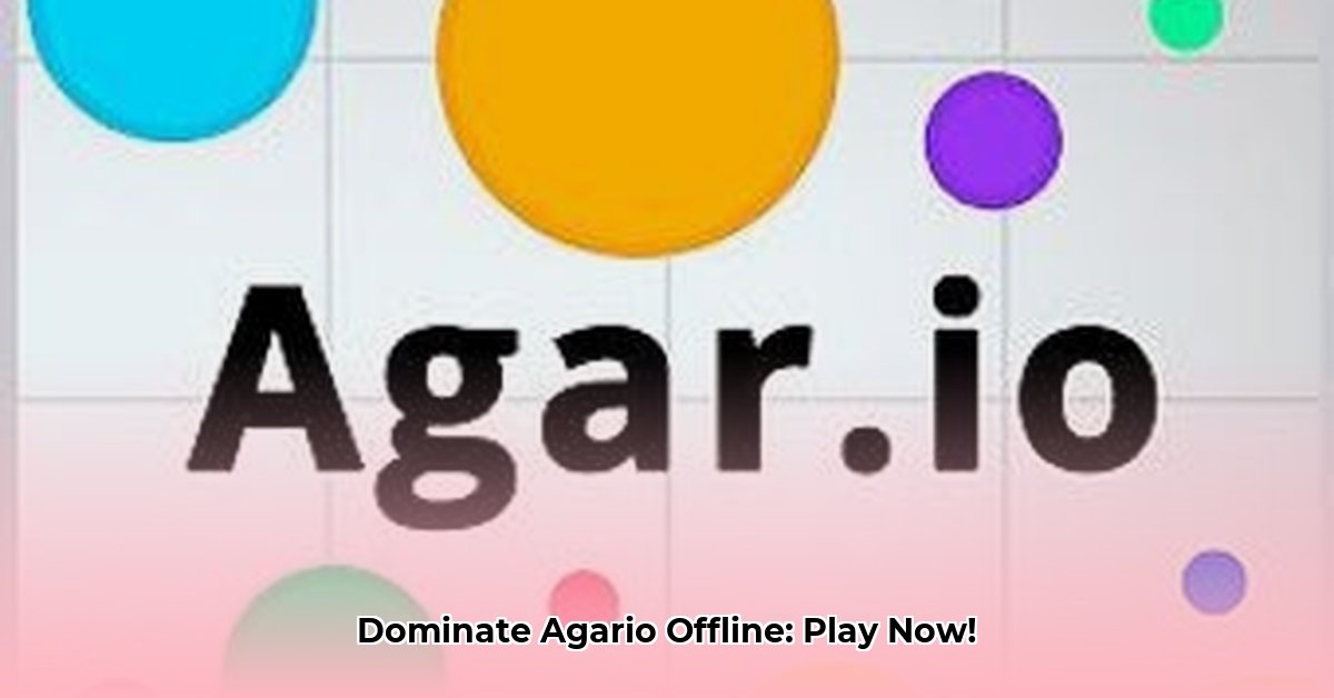 agario-offline